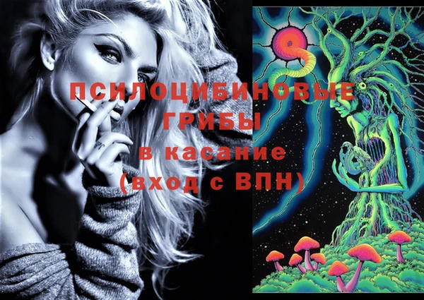 дживик Волоколамск