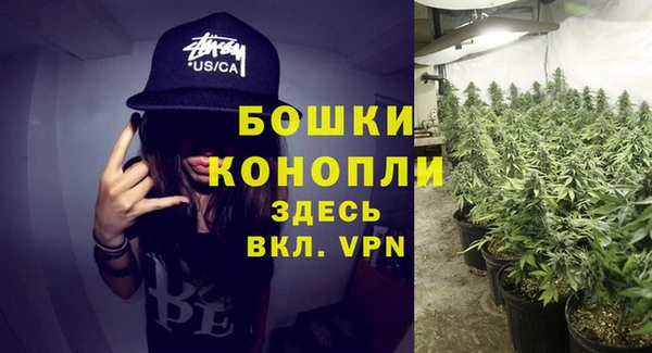 дживик Волоколамск
